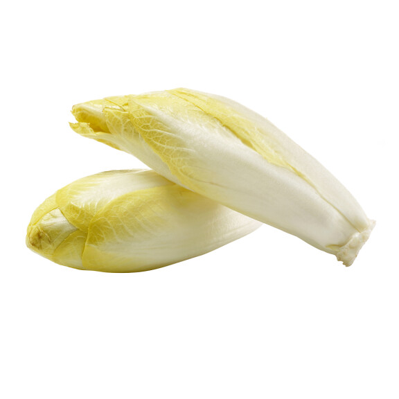 Cykoria żółta tacka 500g