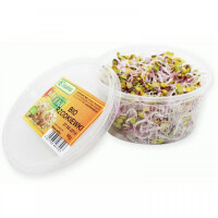 Kiełki Rzodkiewki 50g