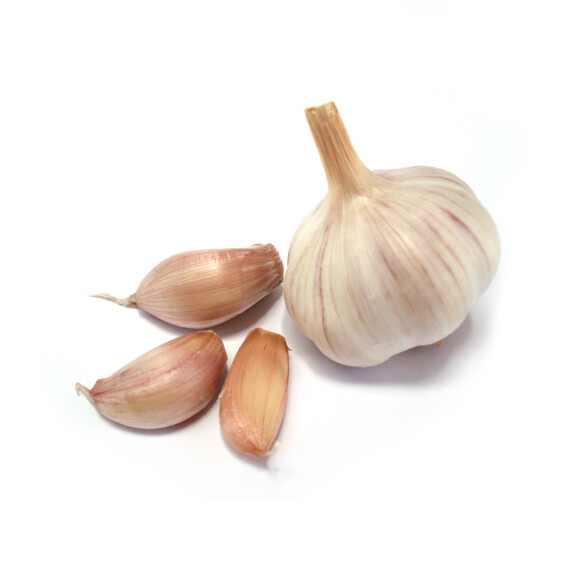 Czosnek 1szt