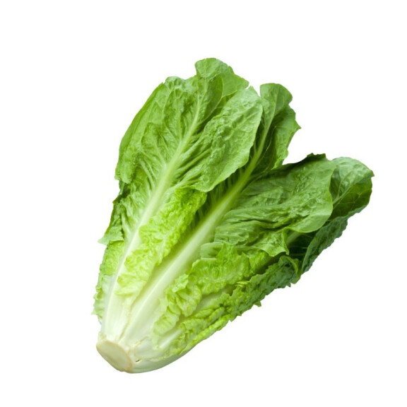 Sałata rzymska 1szt