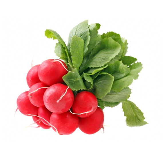 Rzodkiewka pęczek