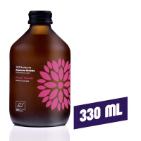 VIGO Kombucha BIO Mango + Maracuja 330ml