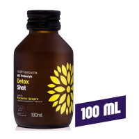 VIGO Kombucha BIO Detoks Shot 100ml