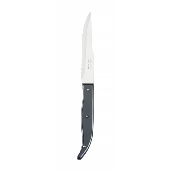 Couteau à steak, STEAK BASIC - long. 23 cm | ARCOS 372400