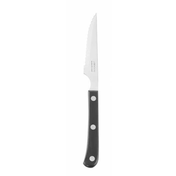 Couteau à steak, STEAK BASIC - long. 22 cm | ARCOS 374800