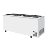 Zamrażarka skrzyniowa z przesuwną płaską pokrywą i cyfrowym termostatem z termometrem | BYFAL, ARO 701/2 White Edge