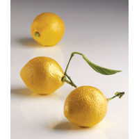 Silikonowa forma do deserów 3D Citron - 300x175 mm, 8x cytryna 85 ml - AF006S | PAVONI, Pavoduo