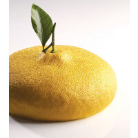 Silikonowa forma do deserów 3D Citron – 180x70 mm, cytryna 1215 ml - KE057S | PAVONI, Pavocake
