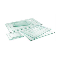 Przezroczysta taca GN 1/1 530 x 325 mm | BDK, Glass GN