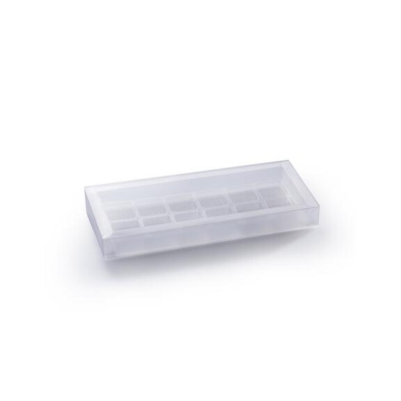 Opakowanie plastikowe do pralin i czekoladek - 210x100x23 mm, 12 wgłębień 32x27 mm - MSC202 | MARTELLATO, Packaging