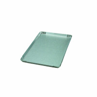 Taca ekspozycyjna, srebrna 305x225x20 mm | PAVONI, VE1