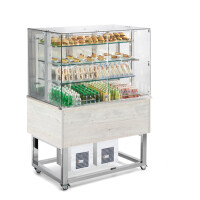 Witryna chłodnicza, otwieranie na boki 0,247 kW, 3x GN 1/1 200 mm, 1169x760x1688 mm | REDFOX, ES Platinium+ 3 RAL DS