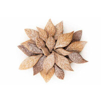Forma z tworzywa - liście - VOILÀ COOKIE LEAVES, 240x150x20 mm | SILIKOMART, TPLUS+