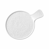Talerz serwingowy z rączką 300x220x30 mm | FINE DINE, Nordic