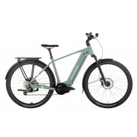 Rower trekkingowy elektryczny R Raymon Tahona Pro Diamond 2025 - zielony, Kolor zielony, Rozmiar ramy M