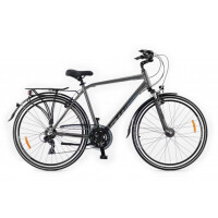 Rower trekkingowy Storm Marathon 2.0 Man - srebrny, Kolor srebrny, Rozmiar ramy 19"