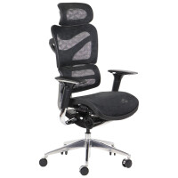 Fotel ergonomiczny ErgoNew S7