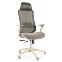 Fotel ergonomiczny Ergon szary