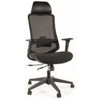 Fotel ergonomiczny Ergon czarny