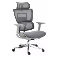 Fotel ergonomiczny Winner Lux szary chromowany