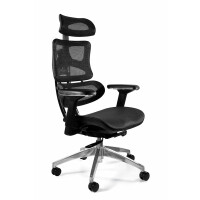 Fotel ergonomiczny Ergotech Chrom