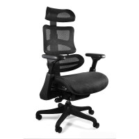 Fotel Ergonomiczny Ergothrone