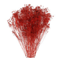 Suszone kwiaty - żarnowiec, broom bloom czerwony - bukiet