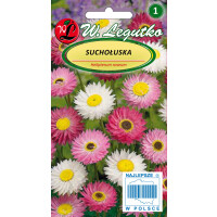 Nasiona na kwiaty suszone - suchlin / suchołuska mix kolorów