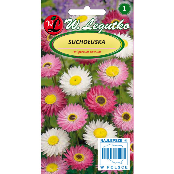 Nasiona na kwiaty suszone - suchlin / suchołuska mix kolorów