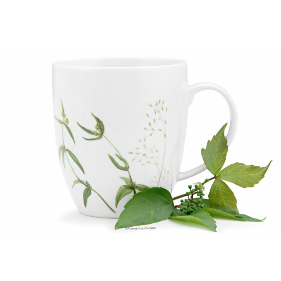 Kubek porcelana Trawa BOSS TRAWY