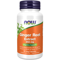 Ginger Root Extract - Wyci? g z korzenia imbiru 250 mg (90 kaps.)