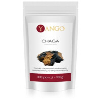 Chaga - ekstrakt 40% polisacharydów (100 g)