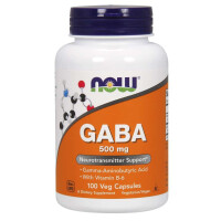 GABA 500 mg (100 kaps.)