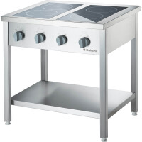 Indukcja gastronomia 800 wolnostojąca 14kW